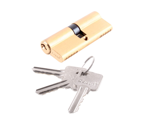Canon de serrure pour portail et portillon gamme Neoe